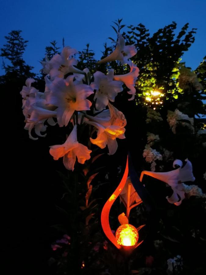 Ferienwohnungen Thalmeier Sankt Gilgen Esterno foto